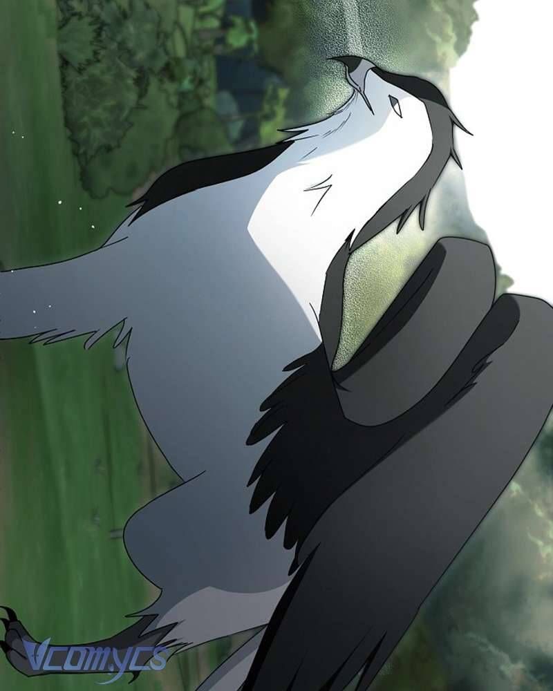 Các Nam Chính Đã Bị Nữ Phụ Cướp Mất Chap 60 - Next Chap 61