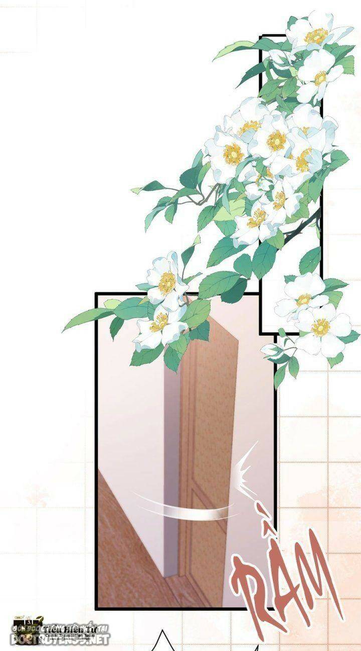 Hệ Thống Siêu Cấp Trà Xanh Chap 20 - Next Chap 21