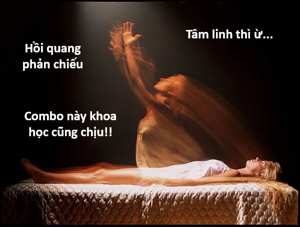 Hổ Đến Chơi Nhà (Puchimasu Miếu) Chap 132 - Next Chap 133