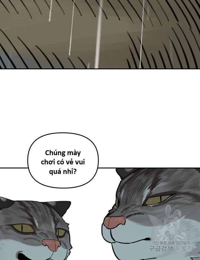 Hổ Đến Chơi Nhà (Puchimasu Miếu) Chap 132 - Next Chap 133