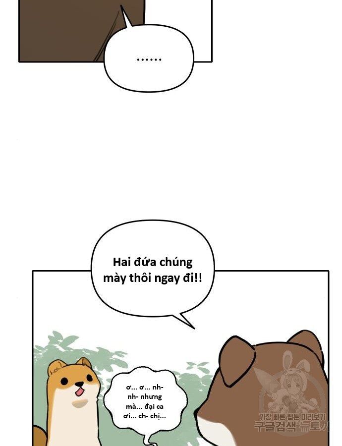 Hổ Đến Chơi Nhà (Puchimasu Miếu) Chap 132 - Next Chap 133