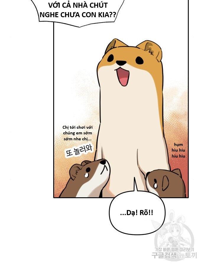 Hổ Đến Chơi Nhà (Puchimasu Miếu) Chap 132 - Next Chap 133