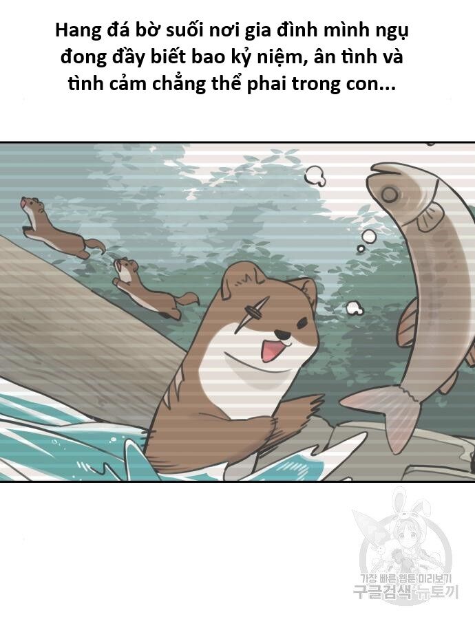 Hổ Đến Chơi Nhà (Puchimasu Miếu) Chap 132 - Next Chap 133