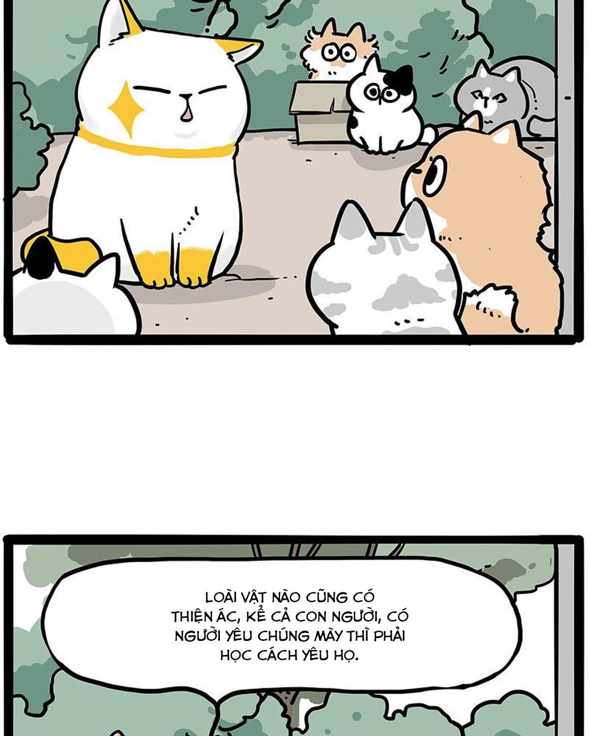 Hoàng Thượng và Ba Trát Hắc Chap 445 - Next Chap 446