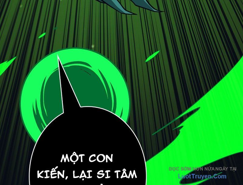 Vừa Chơi Đã Có Tài Khoản Vương Giả Chap 541 - Next Chap 542