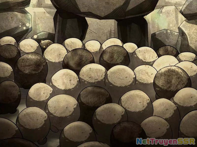 Đại Liên Minh Phản Xuyên Việt Của Bạo Quân Chap 81 - Next Chap 82