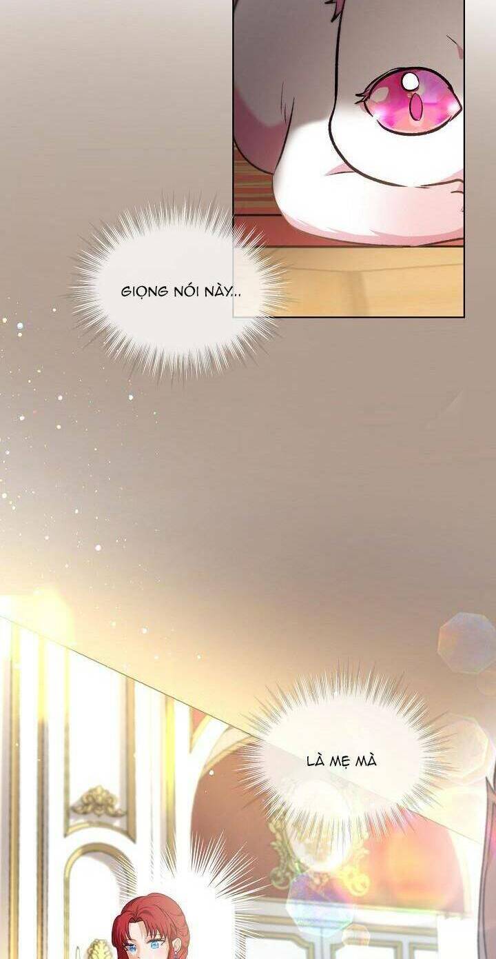 Tôi Đã Tái Sinh Thành Bé Cáo Của Thần Chap 40 - Next Chap 41