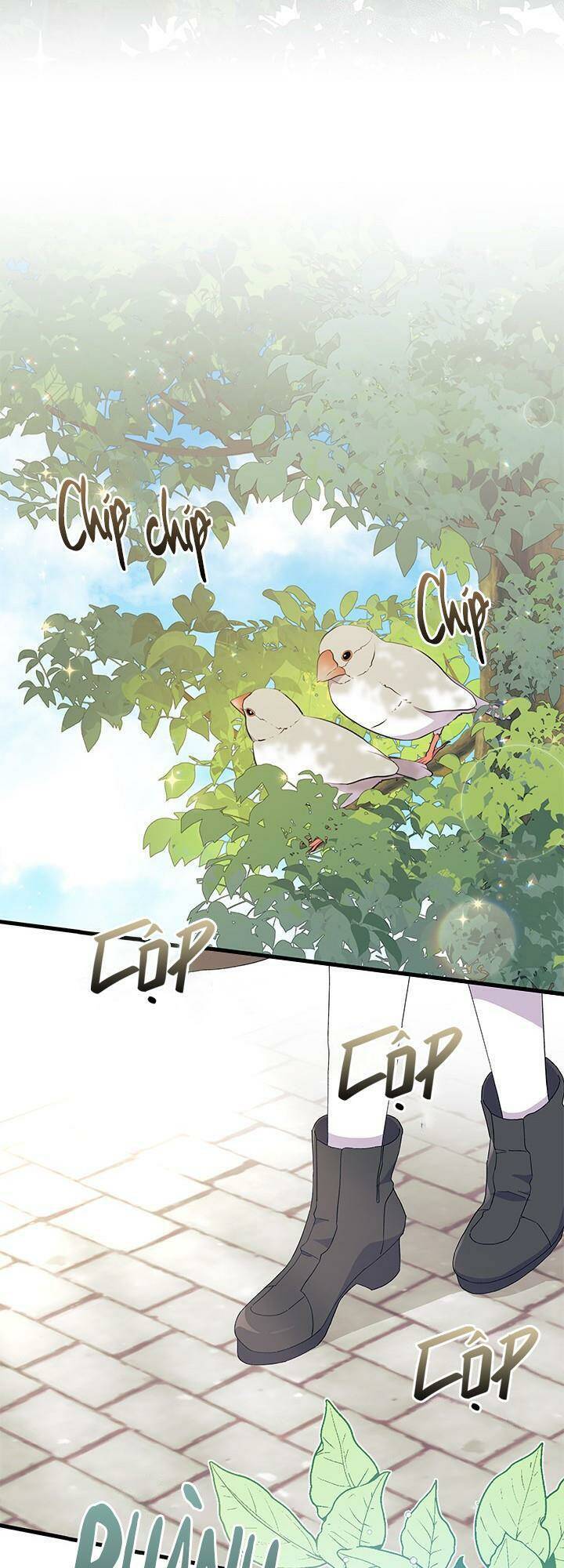 Tôi Không Muốn Làm Người Mai Mối Chap 59 - Next Chap 60