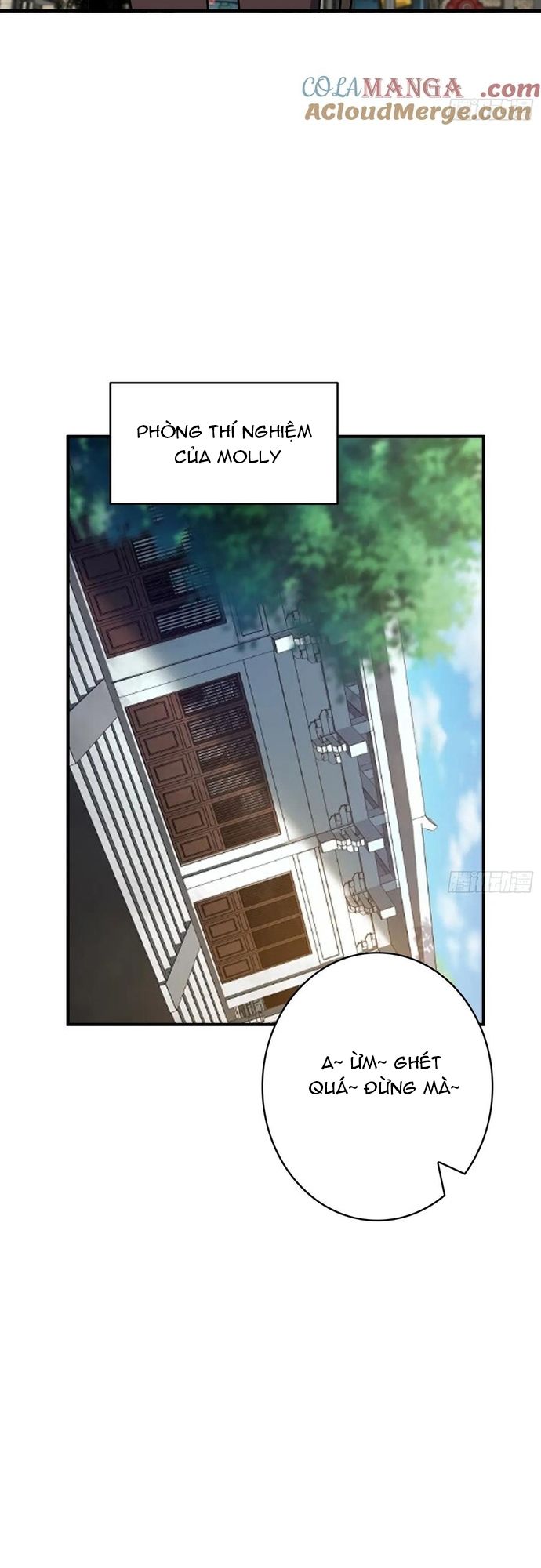 Nhân Vật Phản Diện? Chắc Chắn Không Phải Ta Chap 174 - Next Chap 175