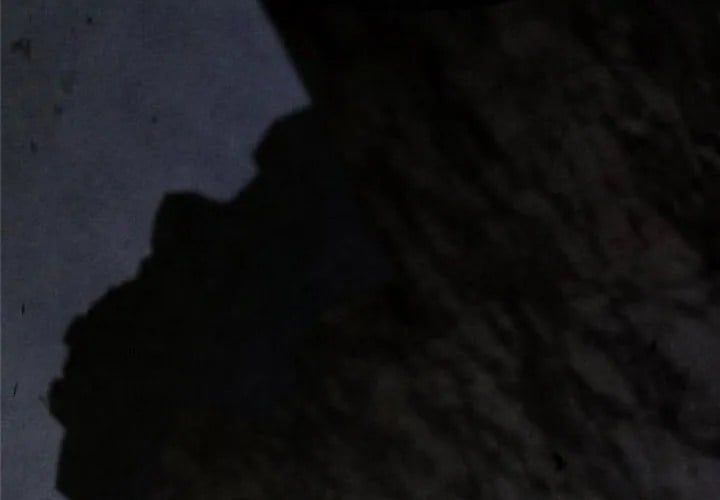 Sống Sót Trong Trò Chơi Với Tư Cách Là Một Cuồng Nhân Chap 127 - Next Chap 128