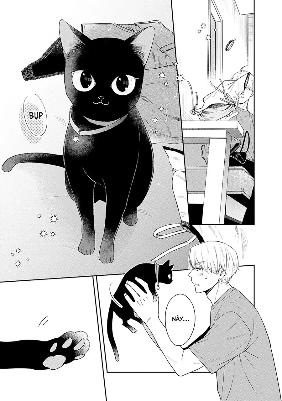 Mi-Chan Wa Kawaretai Chap 24 - Next Chap 25