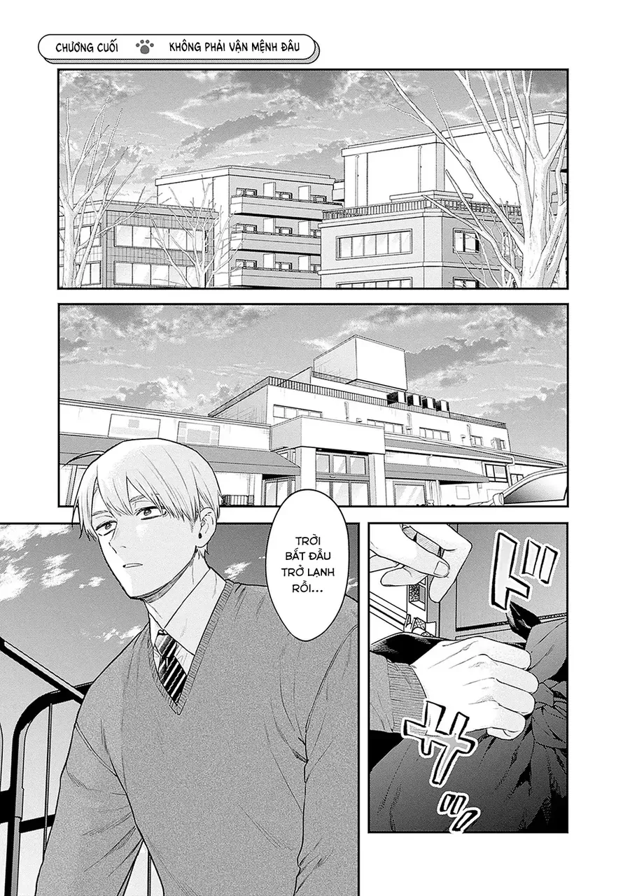 Mi-Chan Wa Kawaretai Chap 26 - Next Chap 27