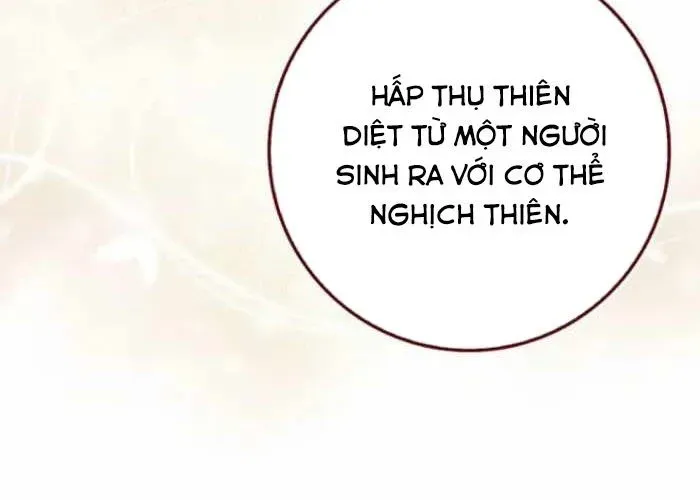 Thiên Tài Võ Thuật Hồi Quy Chap 113 - Next Chap 114