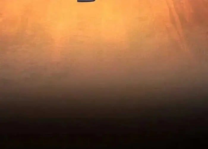 Tôi Đã Trở Thành Quái Vật Không Gian Chap 70 - Next Chap 71