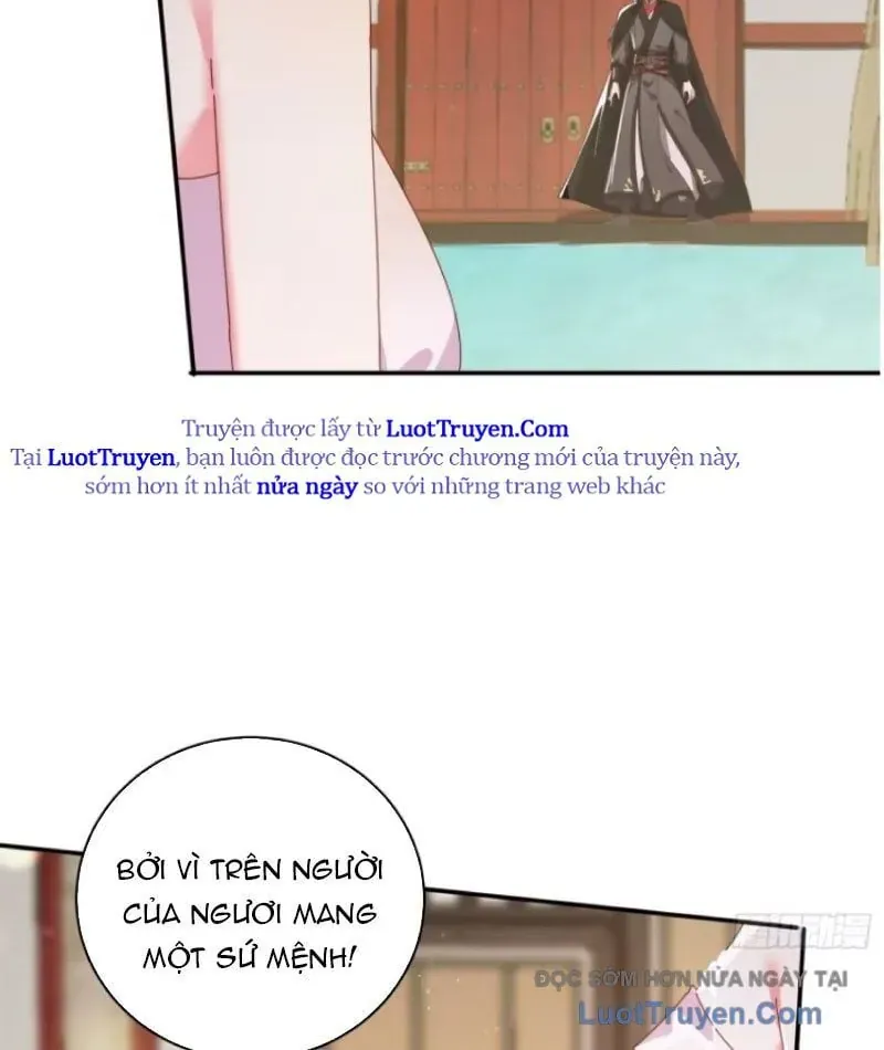 Đánh Dấu Chín Vạn Năm, Tiền Nhiệm Đạo Lữ Muốn Chém Chết Ta Chap 205 - Next Chap 206