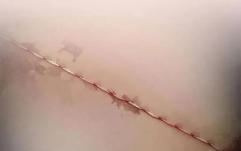 Một Anh Hùng Giỏi Mọi Thứ Chap 59 - Next Chap 60