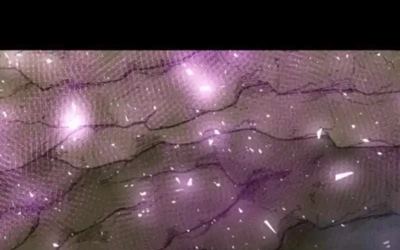 Sư Tôn Của Ta Luôn Dõi Theo Chap 60 - Next Chap 61