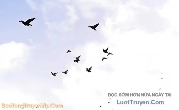 Chuyển Sinh Thành Con Ngoài Giá Thú Của Gia Đình Kiếm Thuật Danh Tiếng Chap 66 - Next Chap 67