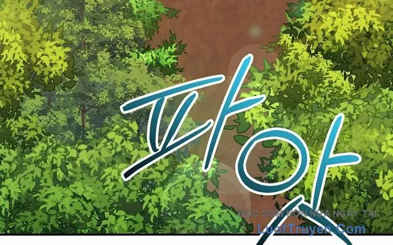 Chuyển Sinh Thành Thiên Tài Xuất Chúng Của Danh Môn Thế Gia Chap 61 - Next Chap 62