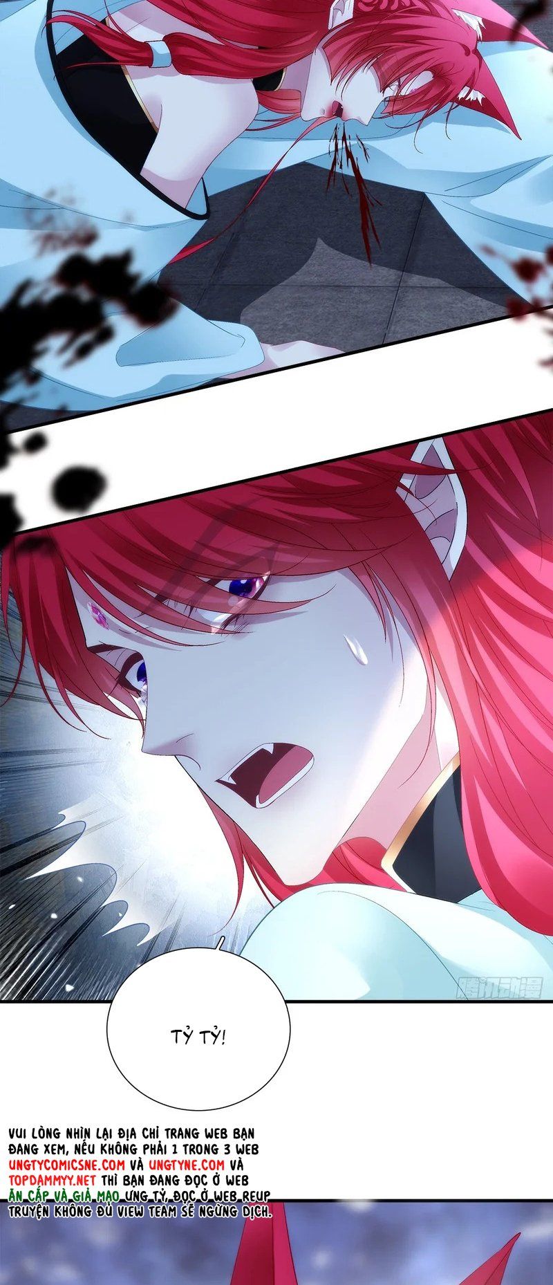 Hắc Hóa Đại Lão Thuần Dưỡng Chỉ Nam Chap 205 - Next Chap 206