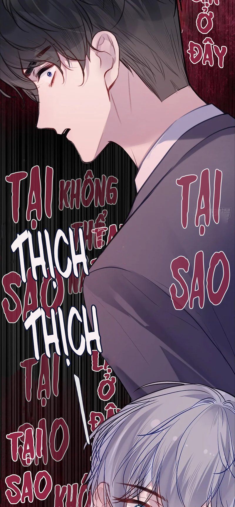 Anh Ấy Chưa Từng Rơi Xuống Chap 145 - Next Chap 146