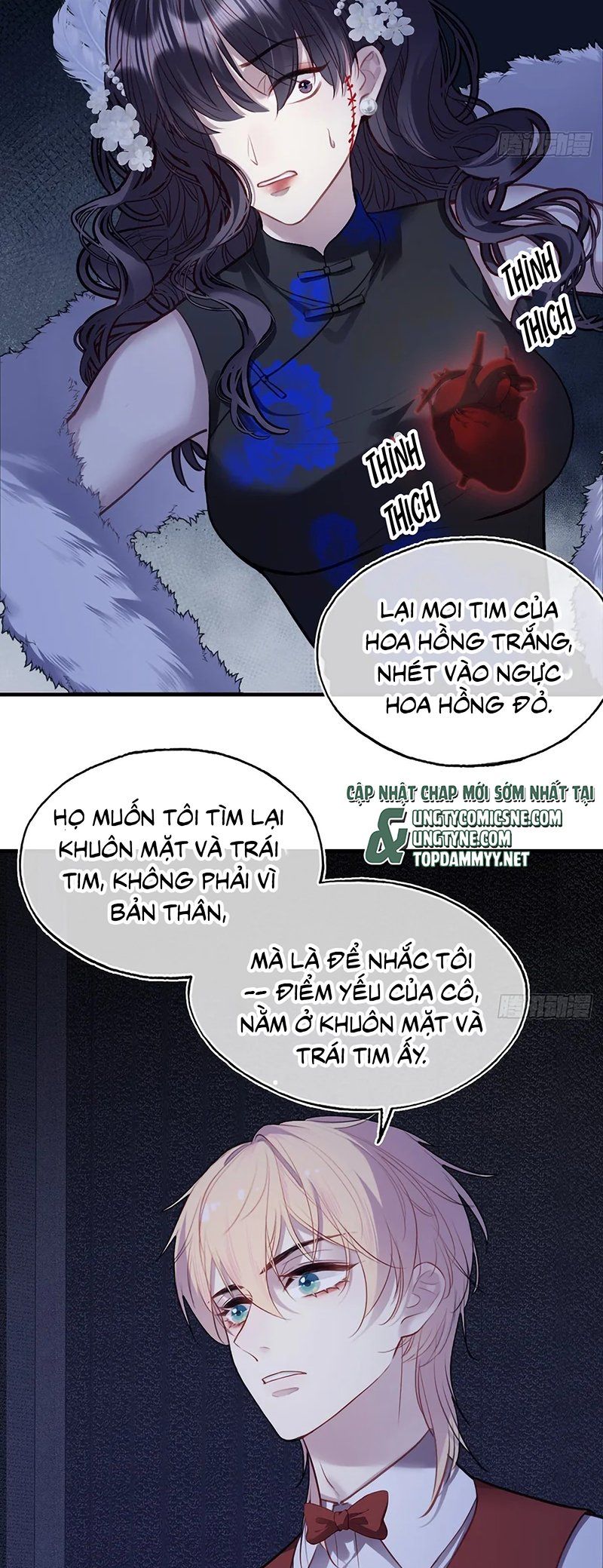 Anh Ấy Chưa Từng Rơi Xuống Chap 146 - Next Chap 147