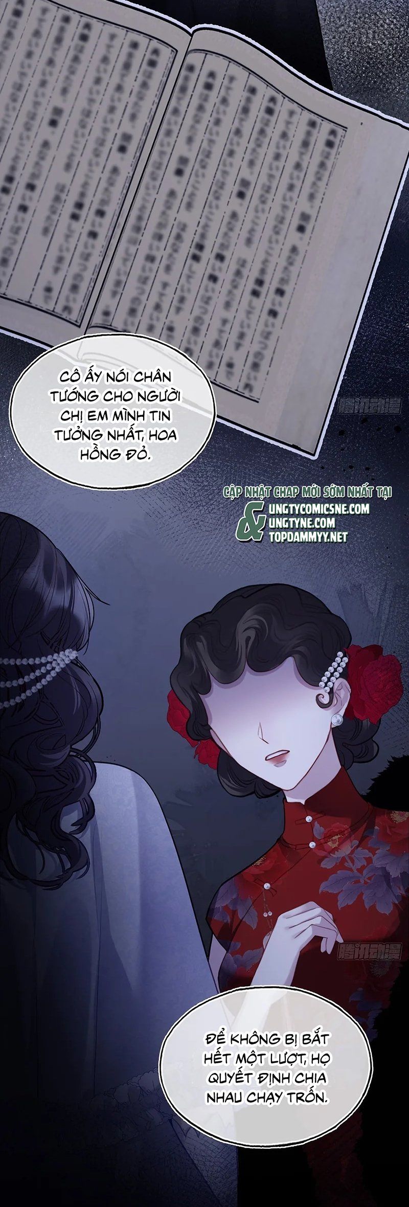 Anh Ấy Chưa Từng Rơi Xuống Chap 146 - Next Chap 147