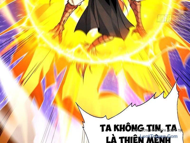 Gặp Mạnh Thì Càng Mạnh, Tu Vi Của Ta Không Giới Hạn Chap 85 - Next Chap 86