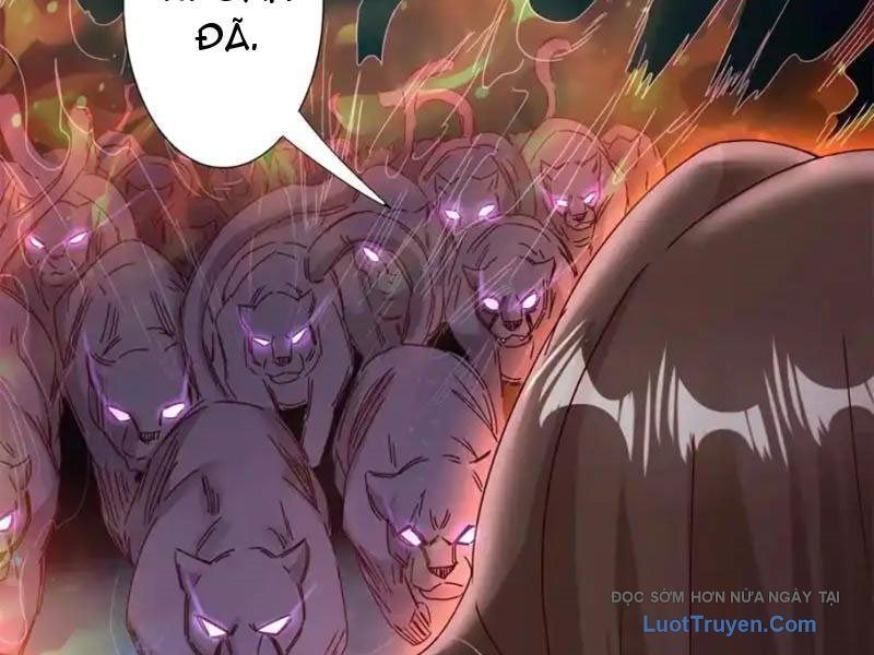 Sau Khi Sống Lại Ở Mạt Thế, Ta Điên Cuồng Thăng Cấp Chap 72 - Next Chap 73