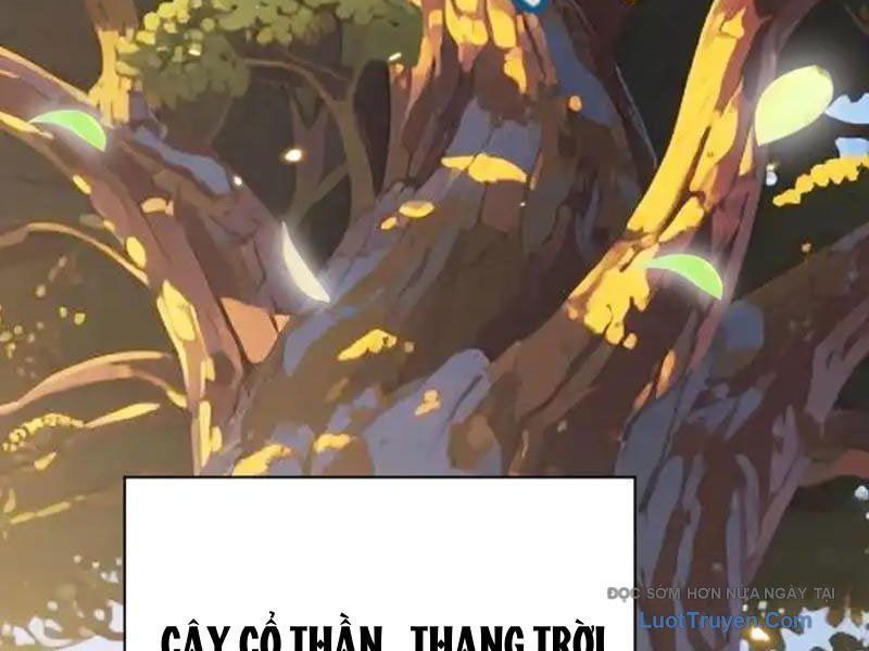 Đồ Đệ Nữ Đế Của Ta Muốn Hắc Hóa! Chap 78 - Next Chap 79