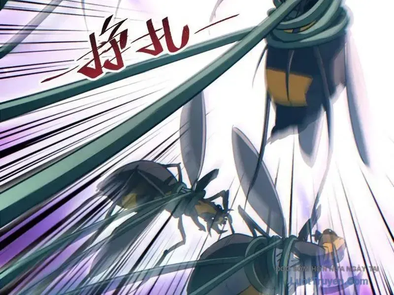 Mạt Thế Trùng Sinh: Ta Dựa Vào Mở Rương Vấn Dỉnh Đỉnh Phong Chap 72 - Next Chap 73