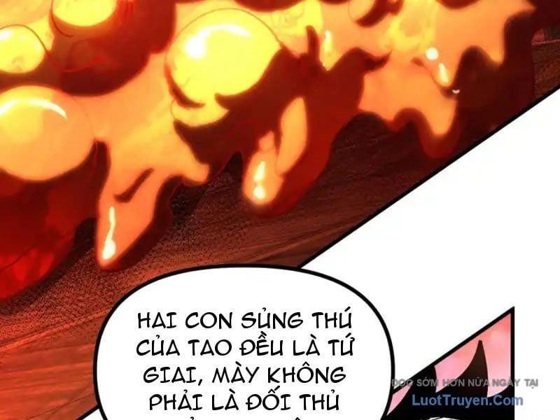 Toàn Cầu Ngự Thú: Ta Có Thể Thấy Lộ Tuyến Tiến Hoá Chap 45 - Next Chap 46