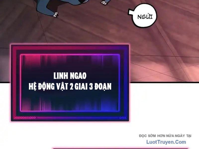 Toàn Cầu Ngự Thú: Ta Có Thể Thấy Lộ Tuyến Tiến Hoá Chap 45 - Next Chap 46