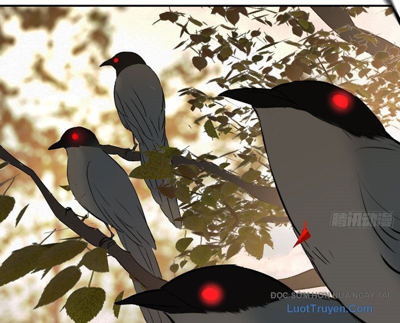 Ác Chi Hoàn Chap 70 - Next Chap 71