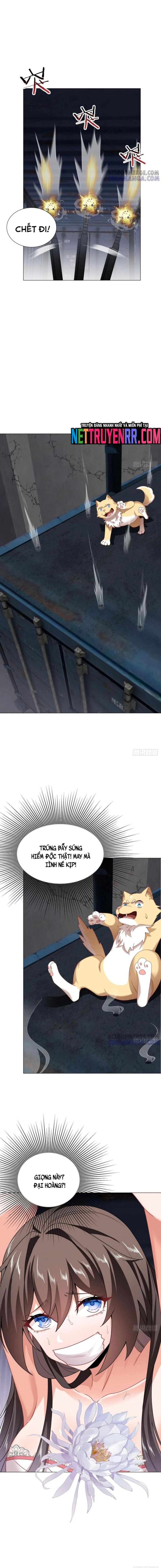 Kế Hoạch Bồi Dưỡng Streamer Của Cẩu Hoàng Chap 19 - Next Chap 20