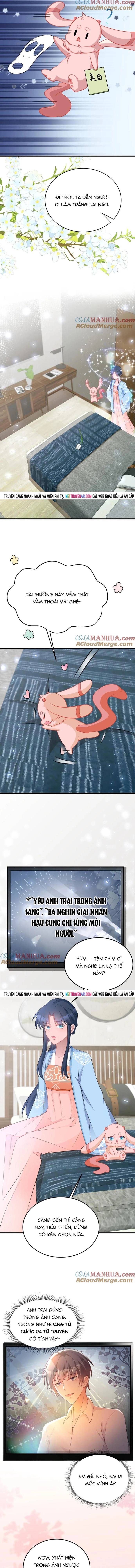 Hệ Thống Siêu Cấp Trà Xanh Chap 55 - Next Chap 56