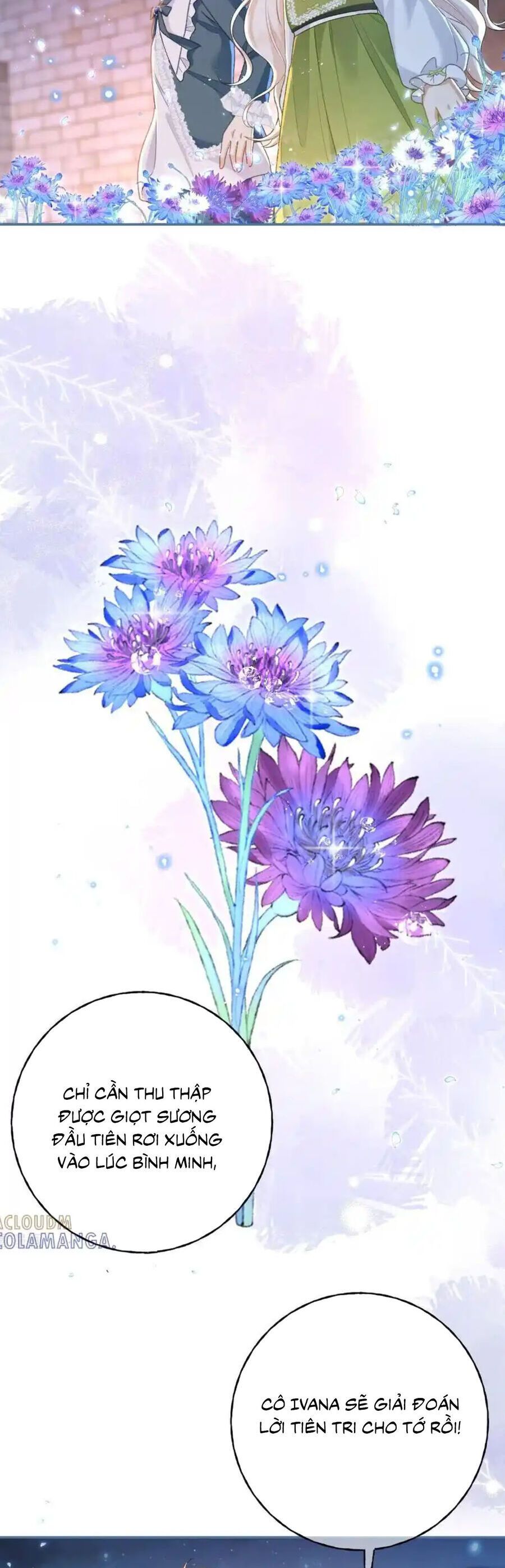 Bạo Quân Khát Máu Hóa Ra Là Chồng Cũ Của Tôi Chap 53 - Next Chap 54