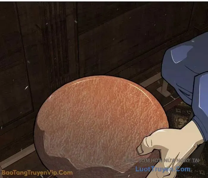 Kỷ Nguyên Siêu Anh Hùng Chap 209 - Next Chap 210