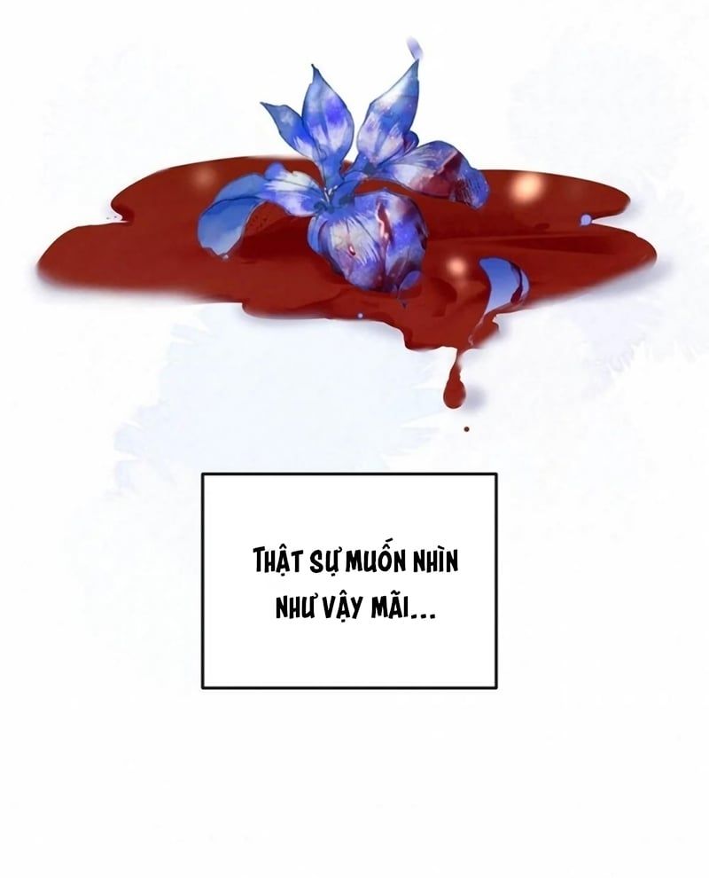 Hôm Nay Điện Hạ Bị Ám Sát Rồi À? Chap 25 - Next Chap 26