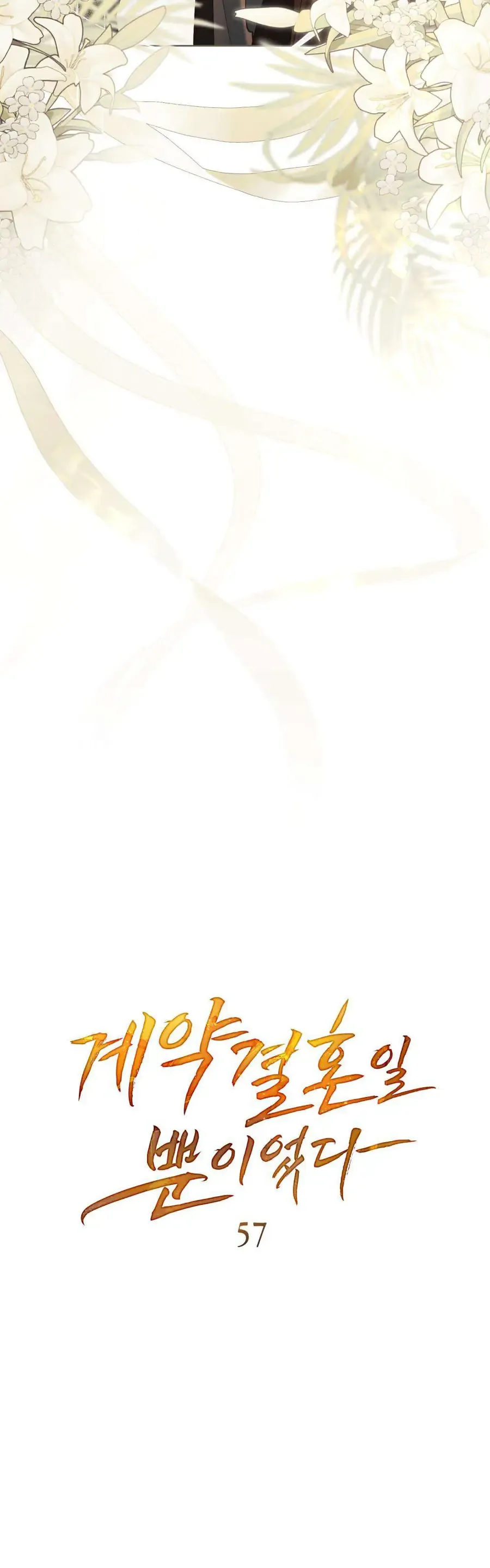 Hôn Nhân Khế Ước Chap 57 - Next Chap 58