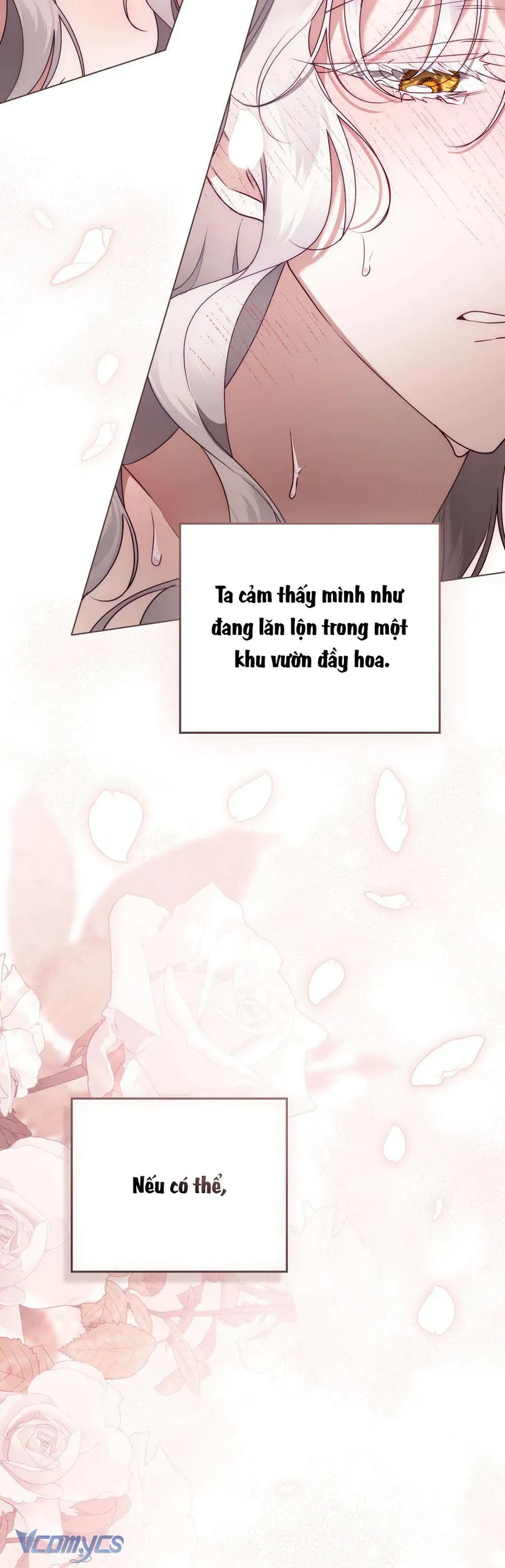 Hôn Nhân Khế Ước Chap 61 - Next Chap 62