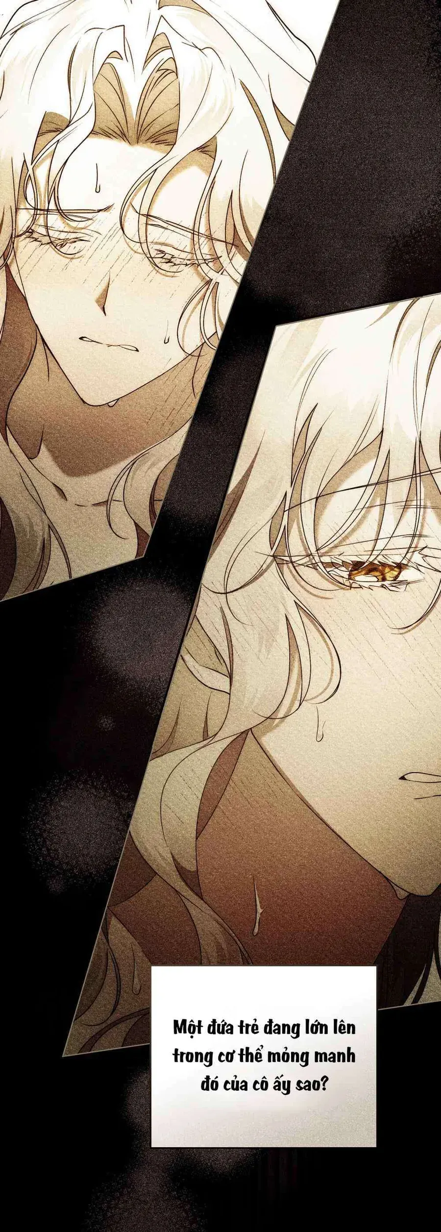 Hôn Nhân Khế Ước Chap 62 - Next Chap 63