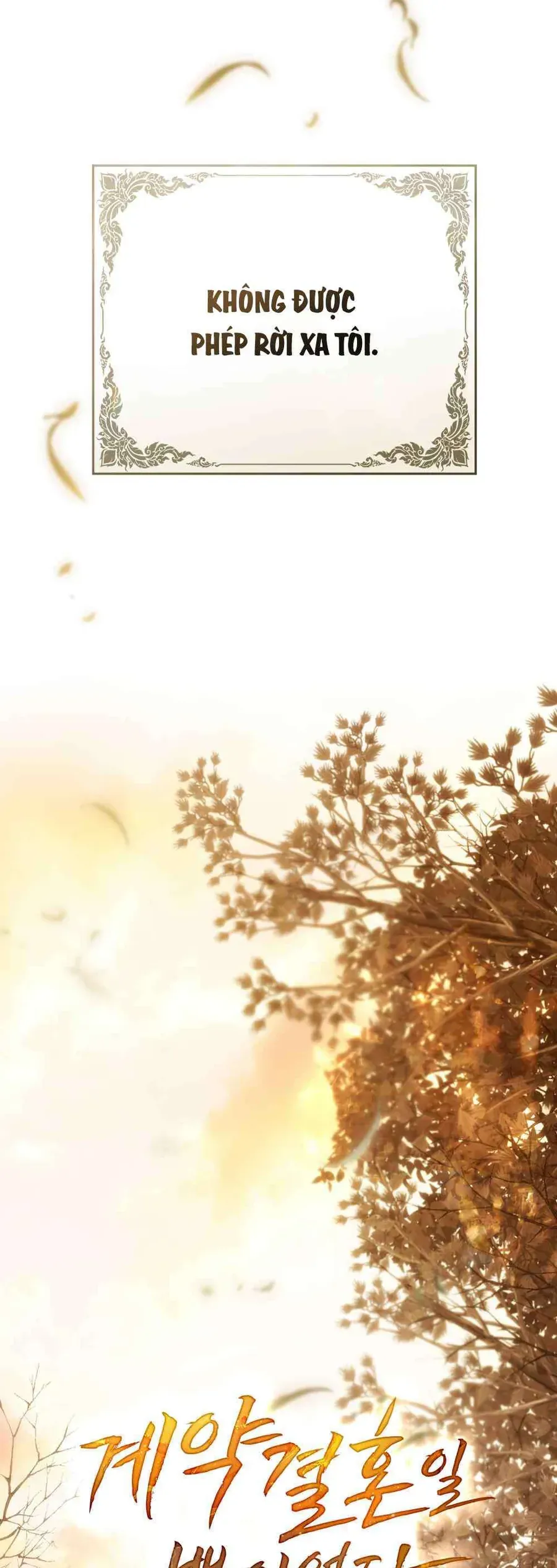 Hôn Nhân Khế Ước Chap 62 - Next Chap 63