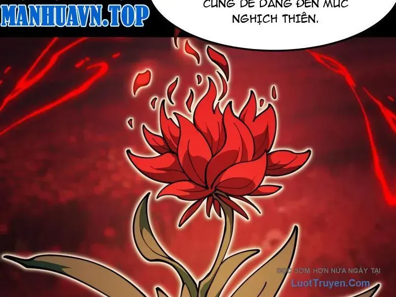 Sau Khi Chia Tay Hoa Khôi, Võ Đạo Của Ta Thẳng Tới Cấp Thần Chap 30 - Next Chap 31