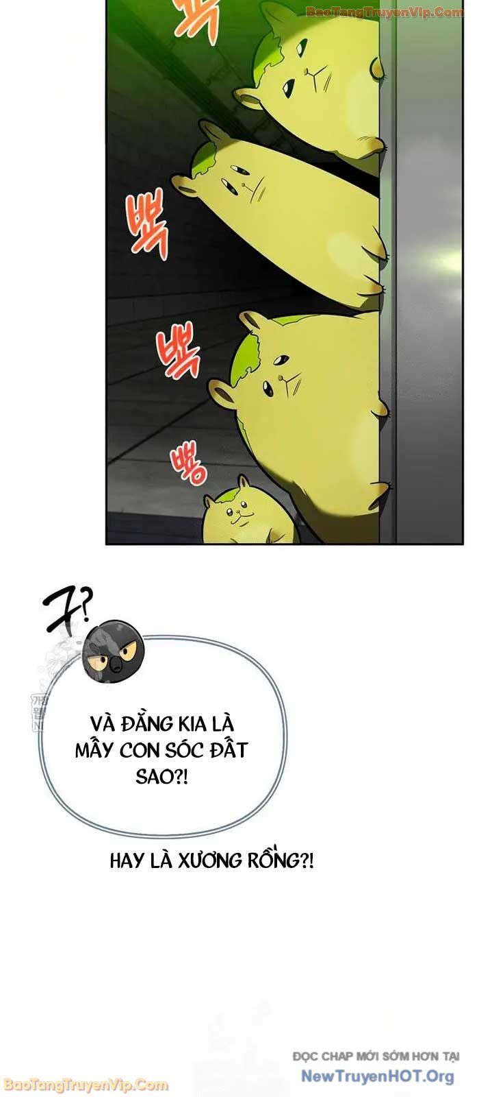 Healer Cấp S Chữa Trị Cho Quái Vật Chap 21.1 - Next Chap 22.1