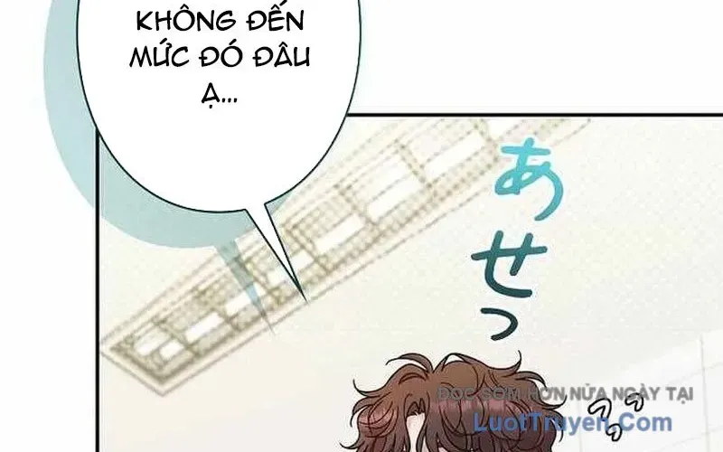 Sự Tái Sinh Của Nhà Thiết Kế Tài Ba Chap 37 - Next Chap 38