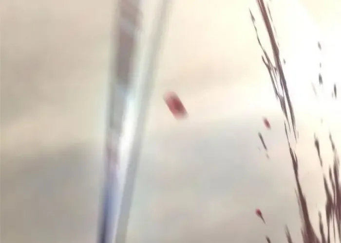 Tôi Hồi Sinh Vào Cuốn Truyện Tu Tiên Chap 25 - Next Chap 26