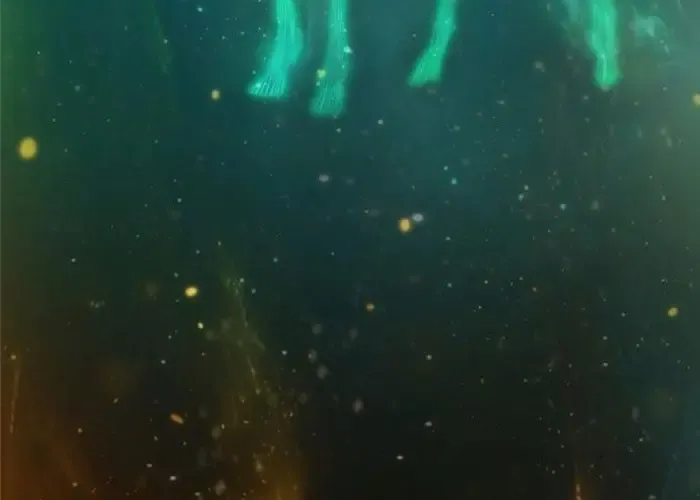 Tôi Hồi Sinh Vào Cuốn Truyện Tu Tiên Chap 25 - Next Chap 26