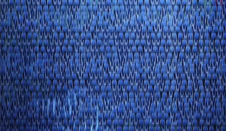 Người Cha Xác Sống Chap 18 - Next Chap 19