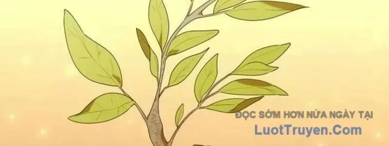 Thợ Săn Của Lớp Gà Con Chap 53 - Next Chap 54